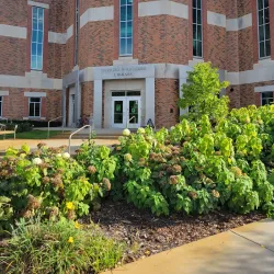 Winona State University - Winona