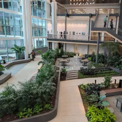 Central Park - Woodbury