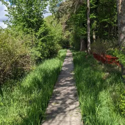 Tamarack Nature Center - Woodbury