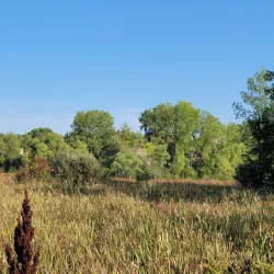 Tamarack Nature Center - Woodbury