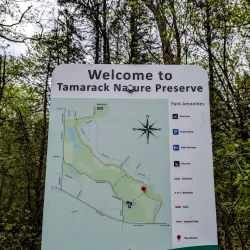 Tamarack Nature Center - Woodbury