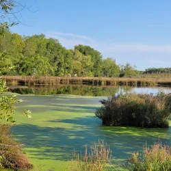 Tamarack Nature Center - Woodbury