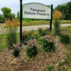 Tamarack Nature Center - Woodbury