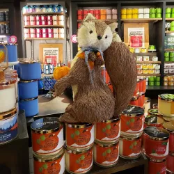 Tamarack Village Shopping Center - Woodbury