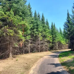 Valley Creek Park - Woodbury