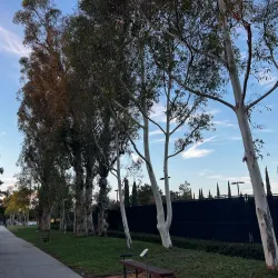 Woodbury Community Center - Woodbury