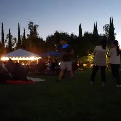 Woodbury Community Center - Woodbury