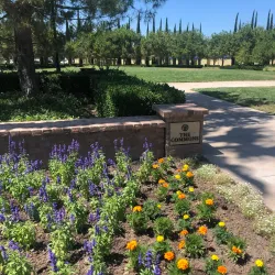 Woodbury Community Center - Woodbury