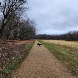 Woodbury Dog Park - Woodbury