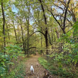 Woodbury Dog Park - Woodbury