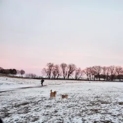 Woodbury Dog Park - Woodbury