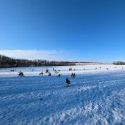 Woodbury Dog Park - Woodbury