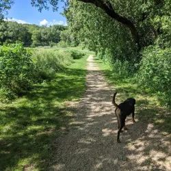 Woodbury Dog Park - Woodbury