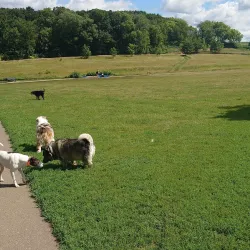 Woodbury Dog Park - Woodbury