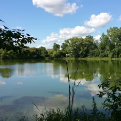 Woodbury Golf Course - Woodbury