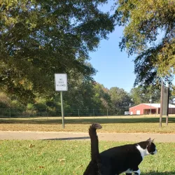 Batesville City Park - Batesville