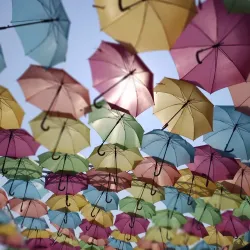 Batesville Farmers Market - Batesville