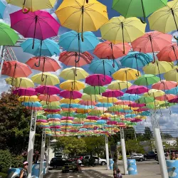 Batesville Farmers Market - Batesville