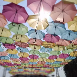 Batesville Farmers Market - Batesville