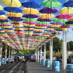 Batesville Farmers Market - Batesville