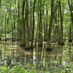 Panola County Veterans Memorial - Batesville