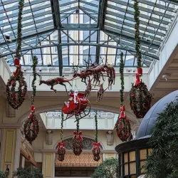 Beau Rivage Resort & Casino - Biloxi