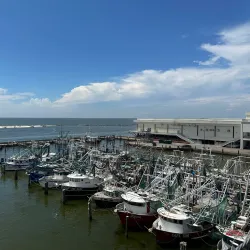 Hard Rock Hotel & Casino Biloxi - Biloxi