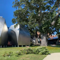 Ohr-O'Keefe Museum of Art - Biloxi