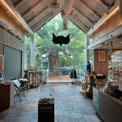 Walter Anderson Museum of Art - Biloxi