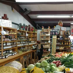 Brandon Farmers Market - Brandon