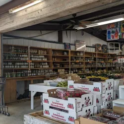 Brandon Farmers Market - Brandon