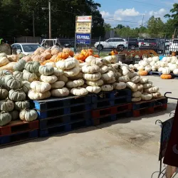 Brandon Farmers Market - Brandon