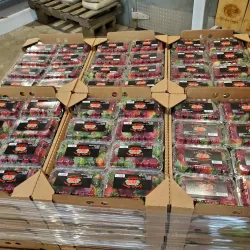 Brandon Farmers Market - Brandon