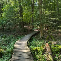 Quail Hollow Park - Brandon