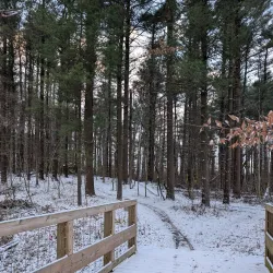 Quail Hollow Park - Brandon