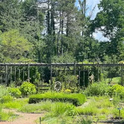 Quail Hollow Park - Brandon