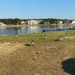 Ross Barnett Reservoir - Brandon