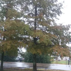 Cleveland City Park - Cleveland