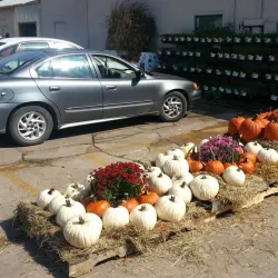 Cleveland Farmers Market - Cleveland
