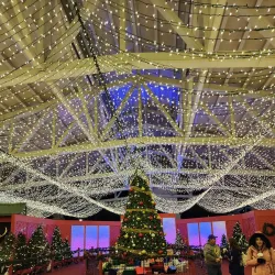 Gulfport Harbor Lights Winter Festival - Gulfport