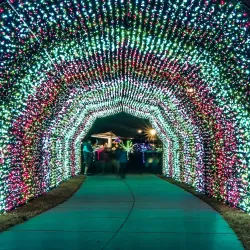 Gulfport Harbor Lights Winter Festival - Gulfport