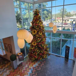 Island View Casino Resort - Gulfport