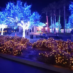 Jones Park - Gulfport