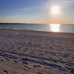 Jones Park - Gulfport