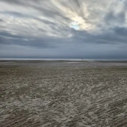 Jones Park - Gulfport