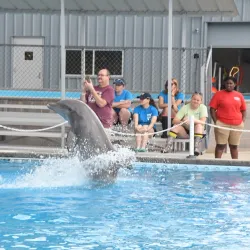 The Institute for Marine Mammal Studies - Gulfport