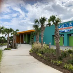 The Institute for Marine Mammal Studies - Gulfport