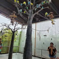 The Institute for Marine Mammal Studies - Gulfport