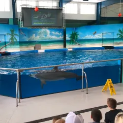 The Institute for Marine Mammal Studies - Gulfport