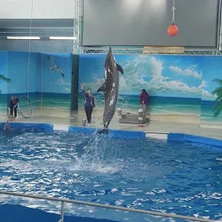 The Institute for Marine Mammal Studies - Gulfport